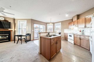 Photo 8: 202 78 Prestwick Gardens SE in Calgary: McKenzie Towne Apartment for sale : MLS®# A2093019