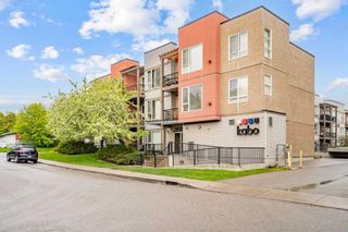 Main Photo: 309 3600 15A Street SW in Calgary: South Calgary Apartment for sale : MLS®# A2134801