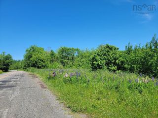 Photo 1: Reeves Road in Coalburn: 108-Rural Pictou County Vacant Land for sale (Northern Region)  : MLS®# 202213906