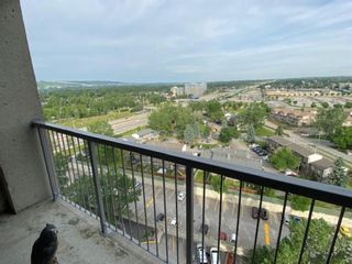 Photo 33: 1611 4944 Dalton Drive NW in Calgary: Dalhousie Apartment for sale : MLS®# A2029138