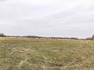 Photo 11: TWP RD 583 Range Rd 271: Rural Westlock County Rural Land/Vacant Lot for sale : MLS®# E4218433