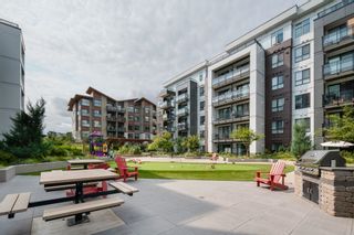 Photo 26: a414 20838 78B Avenue in Langley: Willoughby Heights Condo for sale : MLS®# R2865897
