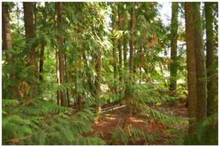Photo 17: Lot 49 Forest Drive: Blind Bay Vacant Land for sale (Shuswap Lake)  : MLS®# 10217653