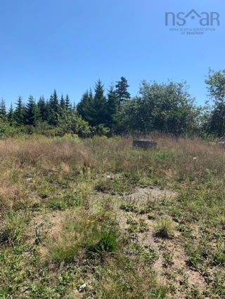 Photo 6: 21 Bear Point Road in Bear Point: 407-Shelburne County Vacant Land for sale (South Shore)  : MLS®# 202221845