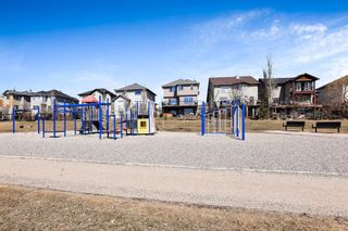 Photo 47: 217 Crystal Shores Drive: Okotoks Detached for sale : MLS®# A2040501