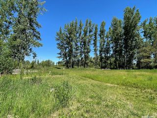 Photo 32: MacDonald Acreage RM of Cana 22 Acres in Cana: Residential for sale (Cana Rm No. 214)  : MLS®# SK934445