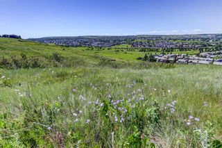 Photo 36: 247 Pantego Lane NW in Calgary: Panorama Hills Row/Townhouse for sale : MLS®# A2001476