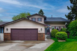 Main Photo: 19 Templeton Place NE in Calgary: Temple Detached for sale : MLS®# A2137047