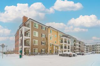Photo 20: 1217 215 Legacy Boulevard SE in Calgary: Legacy Apartment for sale : MLS®# A2010766