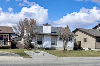 Photo 39: 2166 Summerfield Boulevard SE: Airdrie Detached for sale : MLS®# A1094543