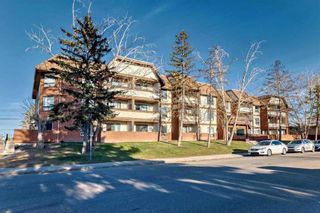Photo 2: 310 1712 38 Street SE in Calgary: Forest Lawn Apartment for sale : MLS®# A2128746