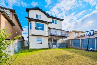 Photo 22: 354 PANAMOUNT BV NW in Calgary: Panorama Hills House for sale : MLS®# C4137770