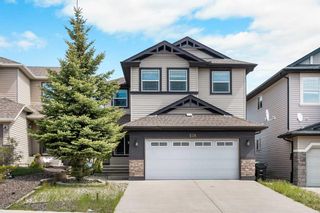 Main Photo: 238 Pantego Close NW in Calgary: Panorama Hills Detached for sale : MLS®# A2135609