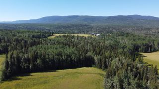 Photo 7: BOURGON ROAD in Smithers: Telkwa - Rural Land for sale (Smithers And Area)  : MLS®# R2700048