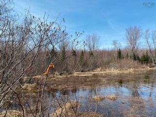 Photo 6: Lot 19 Lakeside Drive in Little Harbour: 108-Rural Pictou County Vacant Land for sale (Northern Region)  : MLS®# 202207904