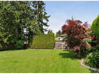 Photo 19: 821 COTTONWOOD Avenue in Coquitlam: Coquitlam West House for sale in "WEST COQUITLAM" : MLS®# V1067082