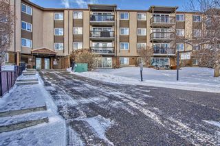 Photo 12: 513 8948 Elbow Drive SW in Calgary: Haysboro Apartment for sale : MLS®# A2106950