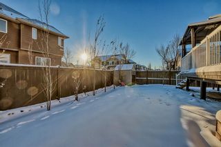 Photo 49: 1870 Baywater Street SW: Airdrie Detached for sale : MLS®# A2034307