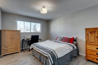 Photo 22: 3812 49 Street NE in Calgary: Whitehorn Detached for sale : MLS®# A1054455