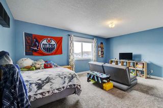 Photo 24: 234 Canoe Square SW: Airdrie Detached for sale : MLS®# A2123343