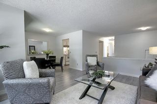 Photo 9: 210 EDGEDALE Place NW in Calgary: Edgemont Semi Detached for sale : MLS®# A1032699