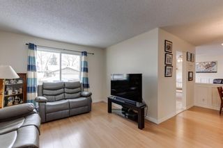 Photo 4: 76 Templewood Road NE in Calgary: Temple Detached for sale : MLS®# A1190228
