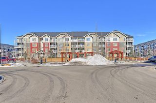 Photo 41: 2407 155 Skyview Ranch Way NE in Calgary: Skyview Ranch Apartment for sale : MLS®# A1188175