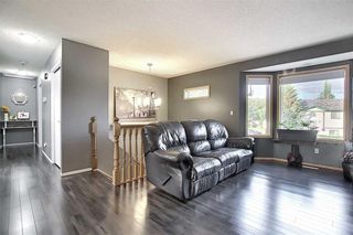 Photo 4: 16 GREENVIEW Crescent: Strathmore Detached for sale : MLS®# C4303060