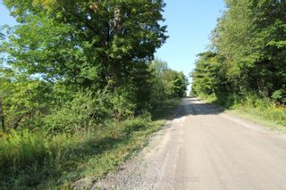 Photo 15: Lt 12 Bexley Laxton Twp Line in Kawartha Lakes: Rural Bexley Property for sale : MLS®# X6780842