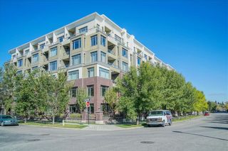 Main Photo: 119 950 CENTRE Avenue NE in Calgary: Bridgeland/Riverside Apartment for sale : MLS®# A2079788