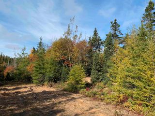 Photo 5: 32 Hollywood Drive in West Porters Lake: 31-Lawrencetown, Lake Echo, Port Vacant Land for sale (Halifax-Dartmouth)  : MLS®# 202225289