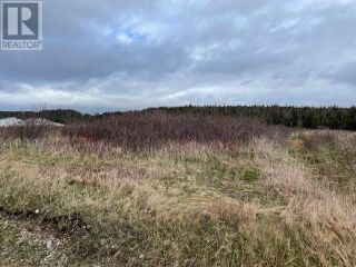 Photo 1: LOT 146 FRONT Road in PORT AU PORT WEST: Vacant Land for sale : MLS®# 1241262