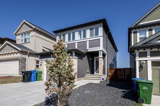 Photo 31: 163 Evanscrest Way NW in Calgary: Evanston Detached for sale : MLS®# A2045300