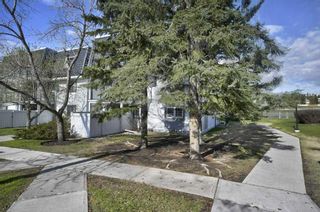 Photo 35: 1109 3115 51 Street SW in Calgary: Glenbrook Apartment for sale : MLS®# A2129011