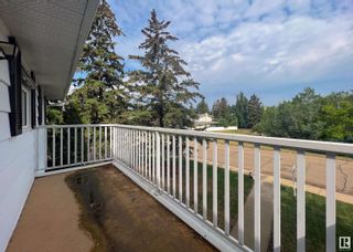 Photo 27: 46 VALLEYVIEW Crescent in Edmonton: Zone 10 House for sale : MLS®# E4354951