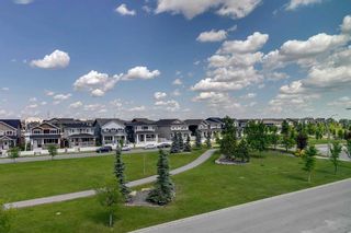 Photo 6: 93 Redstone Circle NE in Calgary: Redstone Row/Townhouse for sale : MLS®# A2061927