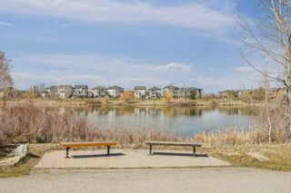 Photo 42: 99 Auburn Bay Crescent SE in Calgary: Auburn Bay Detached for sale : MLS®# A2123647