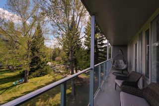 Photo 23: 402 3204 Rideau Place SW in Calgary: Rideau Park Apartment for sale : MLS®# A2132313