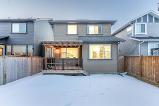 Photo 31: 104 Kingsmere Cove SE: Airdrie Detached for sale : MLS®# A2019802