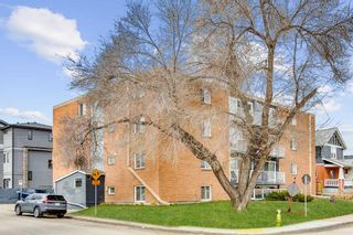 Photo 2: 305 2515 14A Street SW in Calgary: Bankview Apartment for sale : MLS®# A2123409