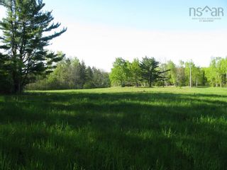 Photo 6: - Patterson Hill Road in Greenhill: 108-Rural Pictou County Vacant Land for sale (Northern Region)  : MLS®# 202210029