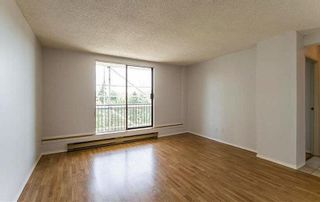 Photo 13: 802 9541 ERICKSON Drive in Burnaby: Sullivan Heights Condo for sale (Burnaby North)  : MLS®# R2685916