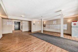 Photo 7: 217 355 Taralake Way NE in Calgary: Taradale Apartment for sale : MLS®# A2136143