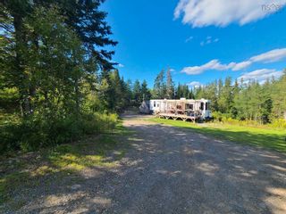 Photo 3: 17988 Highway 316 Crossroads in Country Harbour: 303-Guysborough County Vacant Land for sale (Highland Region)  : MLS®# 202317885