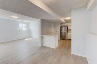 Photo 34: 245 Fresno Place NE in Calgary: Monterey Park Detached for sale : MLS®# A1243762