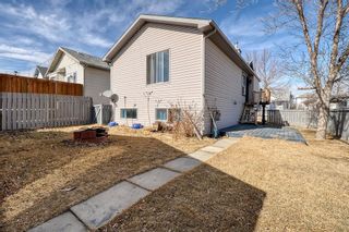 Photo 37: 152 Coverton Close NE in Calgary: Coventry Hills Detached for sale : MLS®# A1196529
