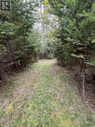 Photo 4: Lot 17 Ridgeview Drive in New Germany: Vacant Land for sale : MLS®# 202321567