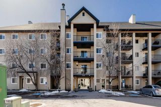 Photo 2: 3206 4975 130 Avenue SE in Calgary: McKenzie Towne Apartment for sale : MLS®# A2103386
