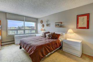 Photo 13: 408 1505 8 Avenue NW in Calgary: Hillhurst Apartment for sale : MLS®# A2047690