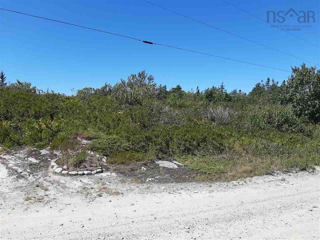 Main Photo: Lot 102 Long Cove Road in Port Medway: 406-Queens County Vacant Land for sale (South Shore)  : MLS®# 202201137